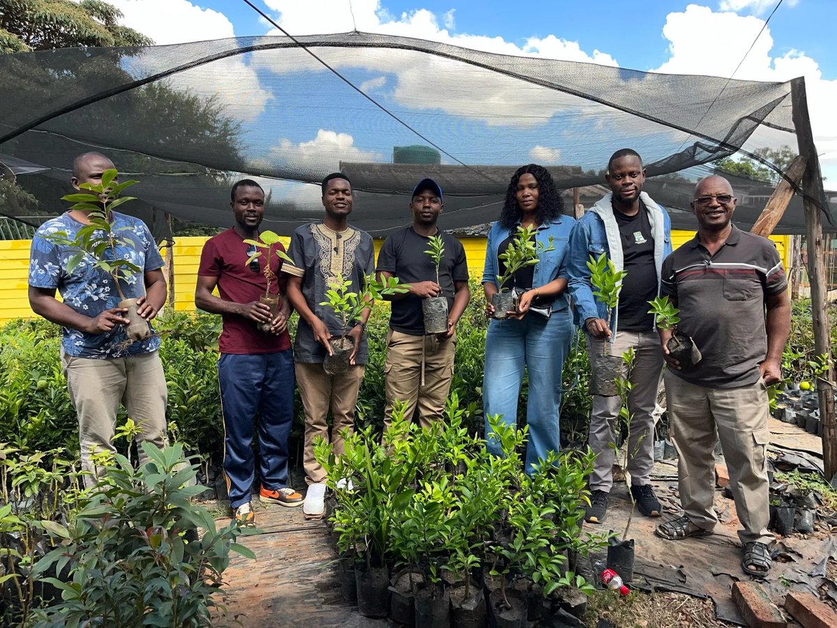 Meet some of the people behind our project in Zimbabwe—they’re the ones caring for the trees every step of the way, from nursery to planting.