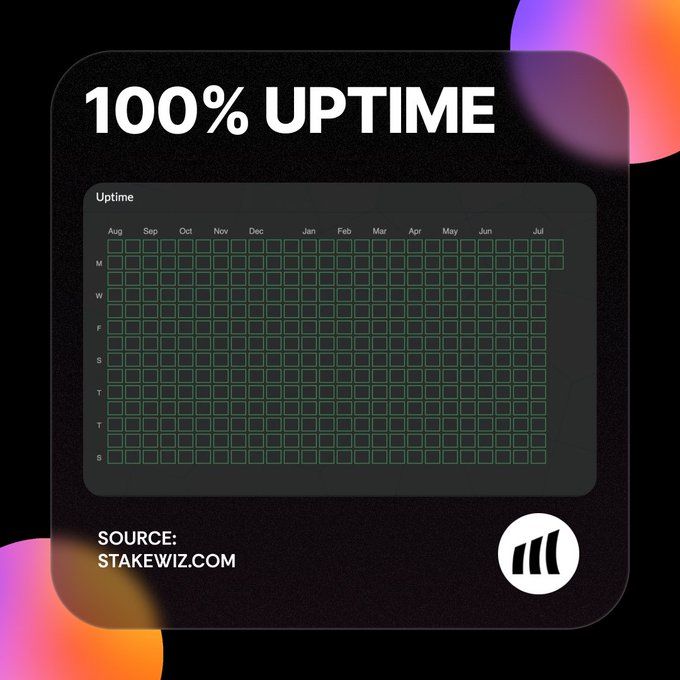 Laine Validator 100% Uptime Chart