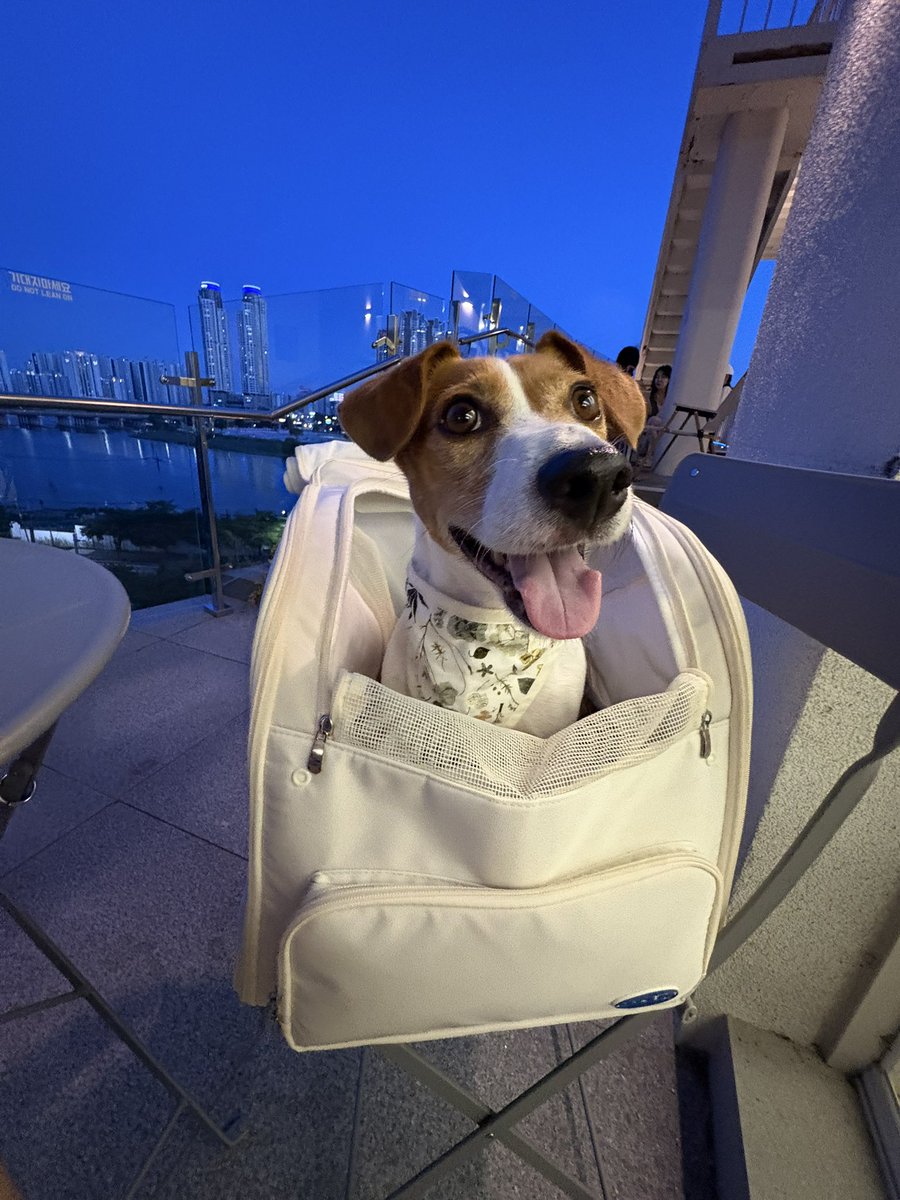 깡이 (@mungang_) on Twitter photo 