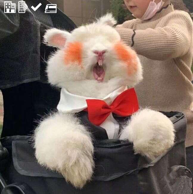 Rule game crime itself season to market.🙀👷142