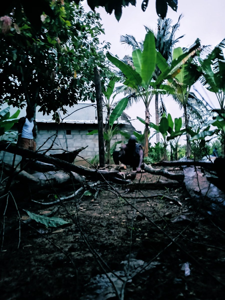 Liamkinkey's tweet photo. Mêkisaba, on arrive…
-Décompression 💯
-Relaxation 💯
⛺️🏃♂️ 🧘🏾 🧗🏾♀️🥃🍻📸🪚🛠️🪓🔥 🔐
#TribuCamp #TeamRoadtrip #NatureLover https://t.co/w3BGmszZ1Z