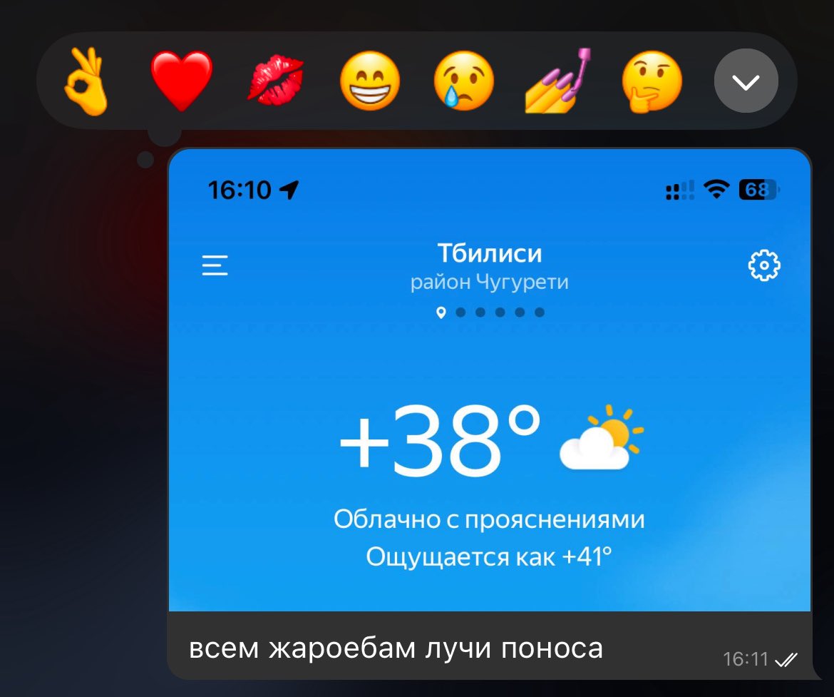 эвглена зеленая (@evilshrn) on Twitter photo 