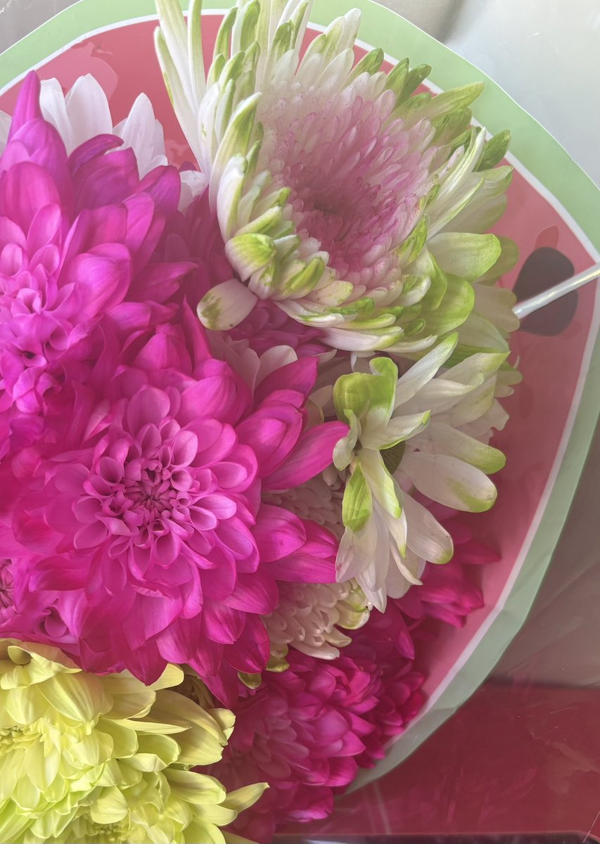 Good morning, frens. 💐 
Happy Thursday. 😊