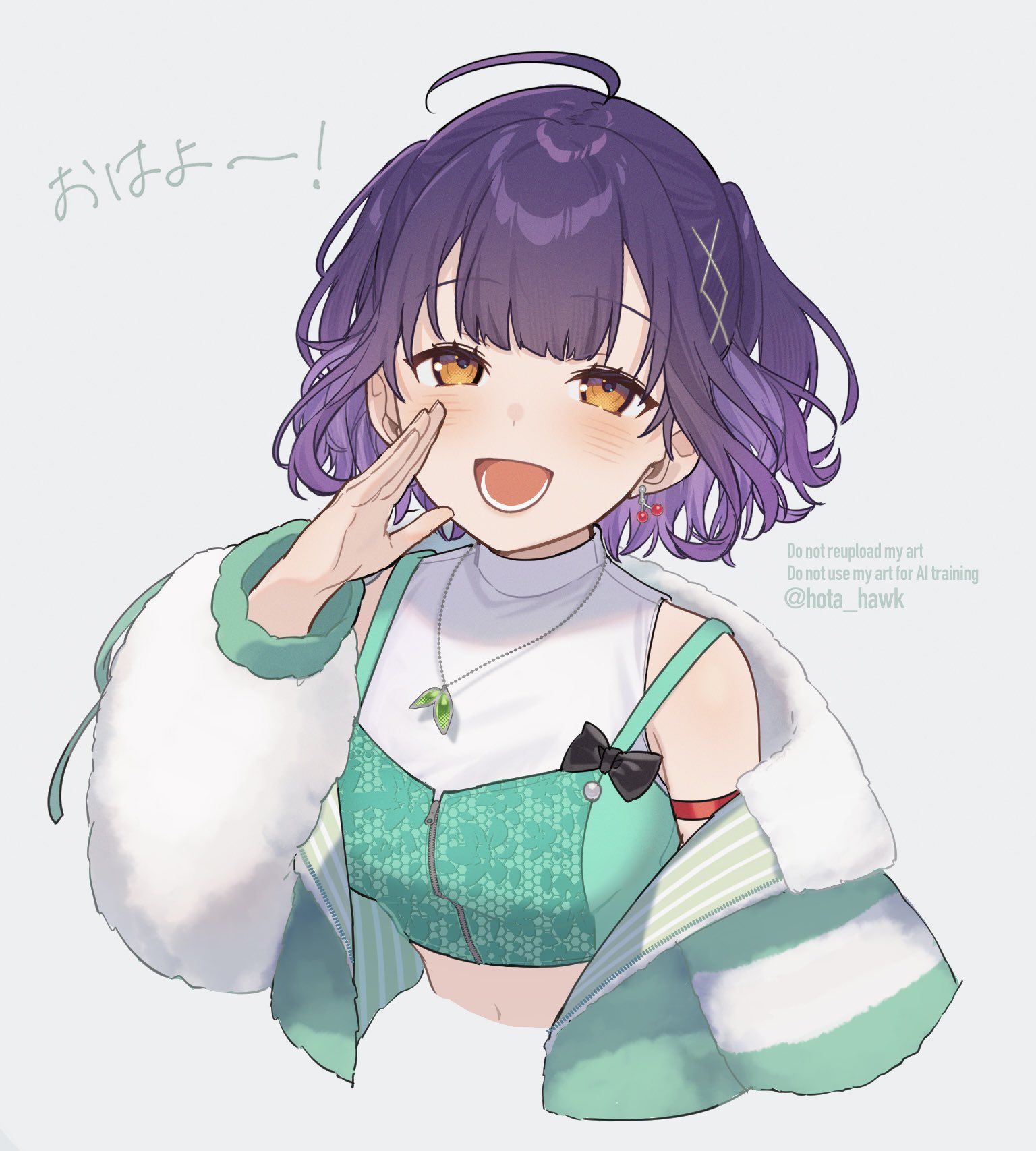 素敵な絵 さら ほた鷹 on X: 
