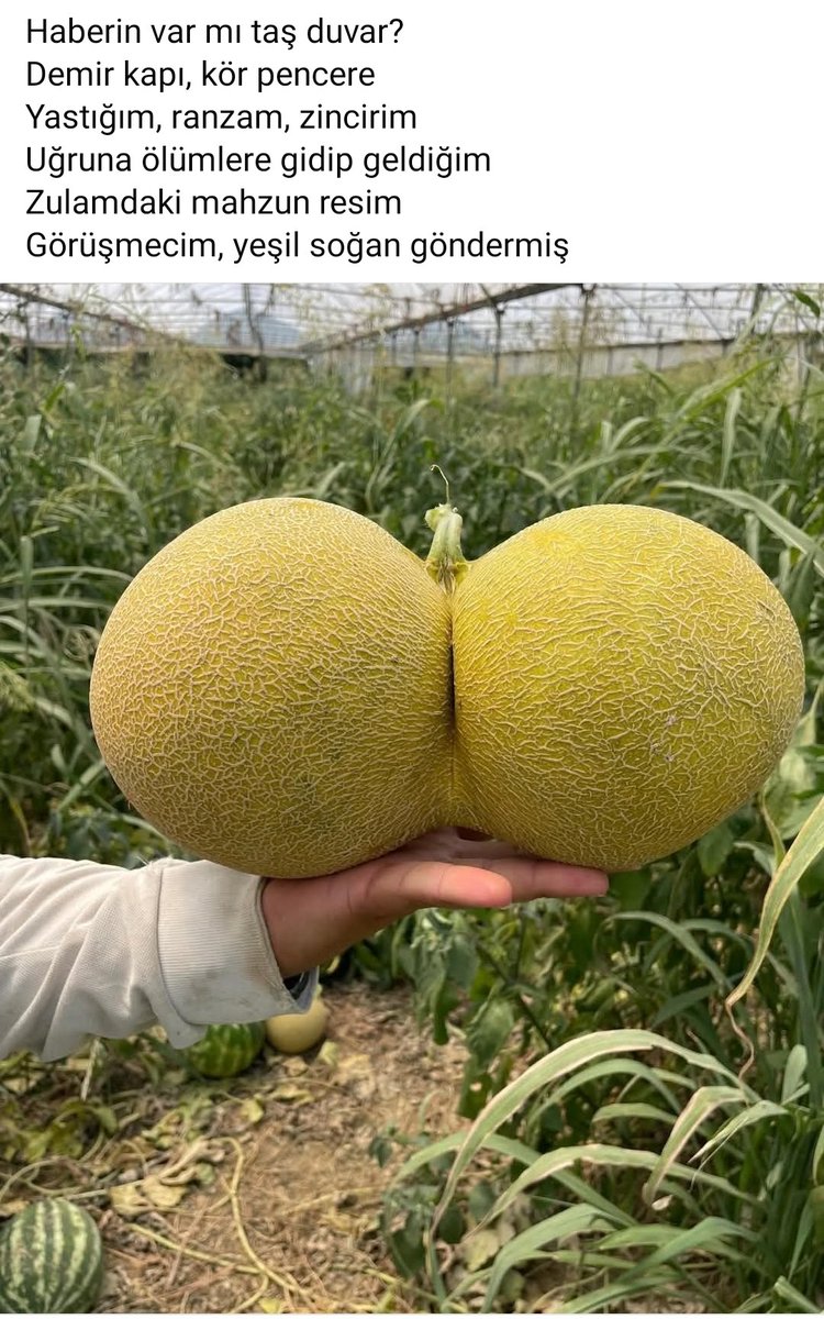 simonbauver (@simonbauver) on Twitter photo 