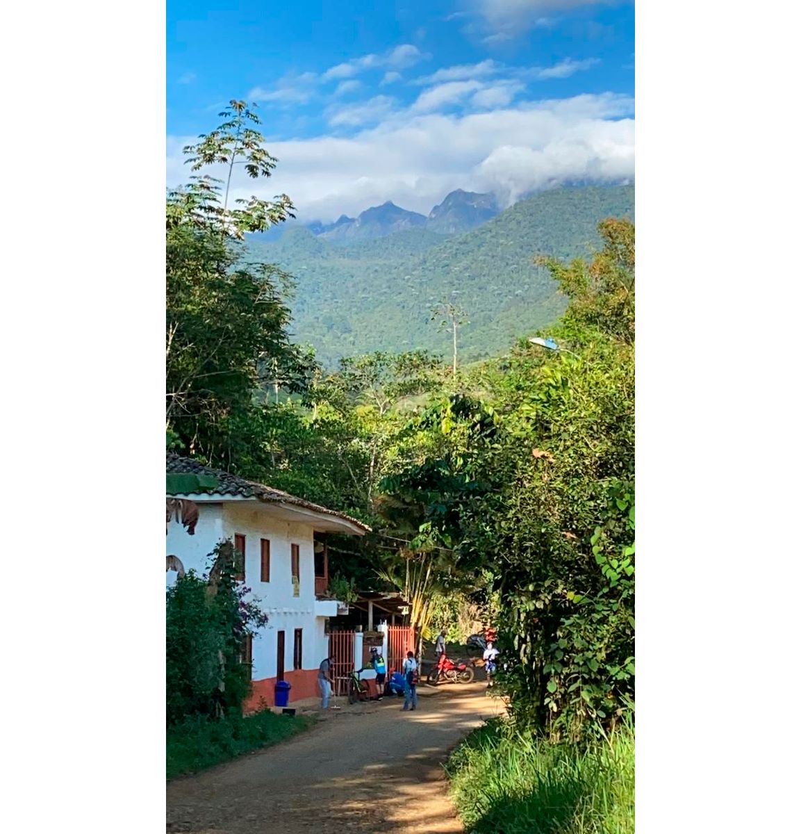Un breve vistazo desde la Buitrera hacia los Farallones De Cali.
Foto: D.R.A.