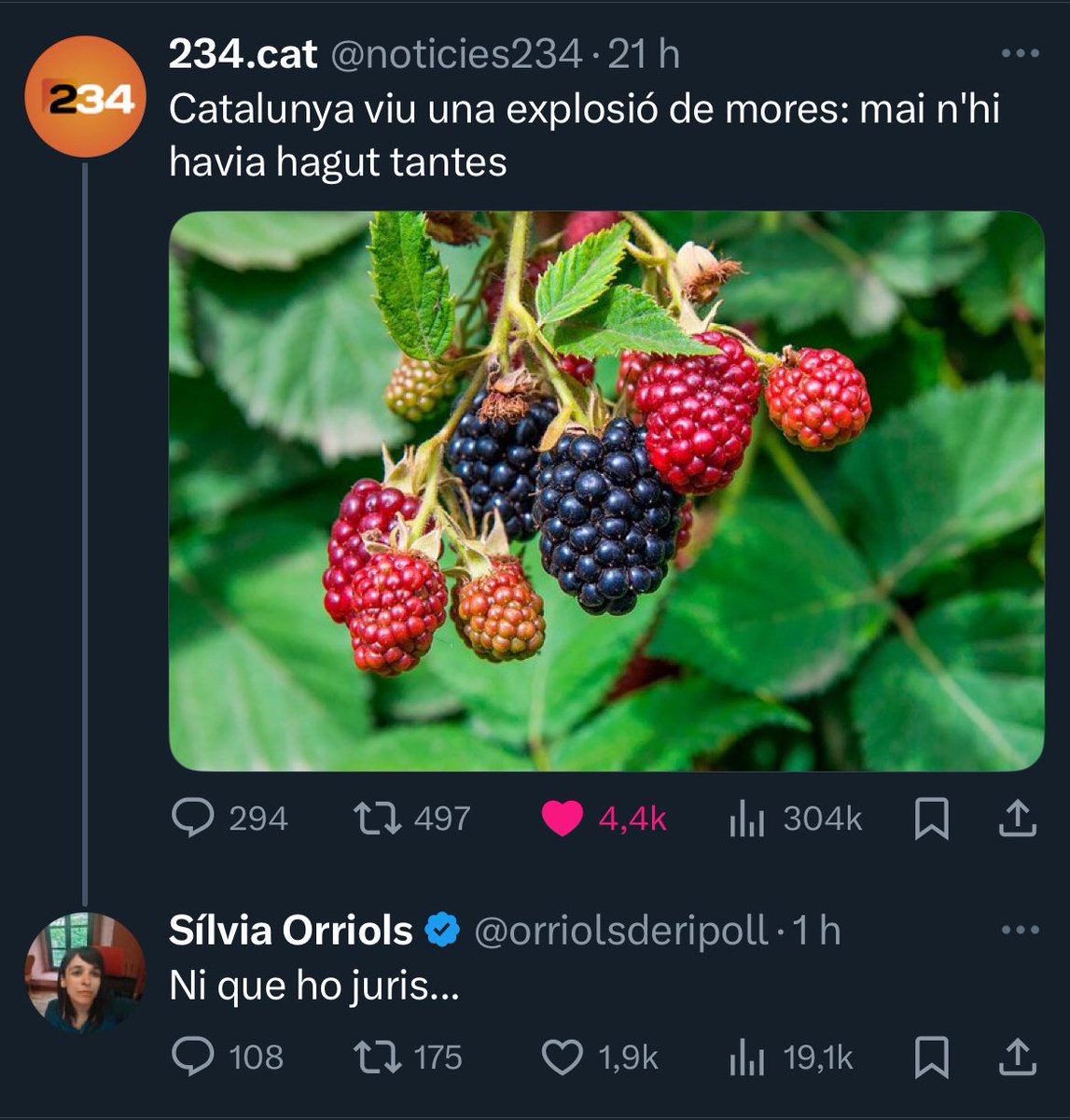 ||*|| tweet media