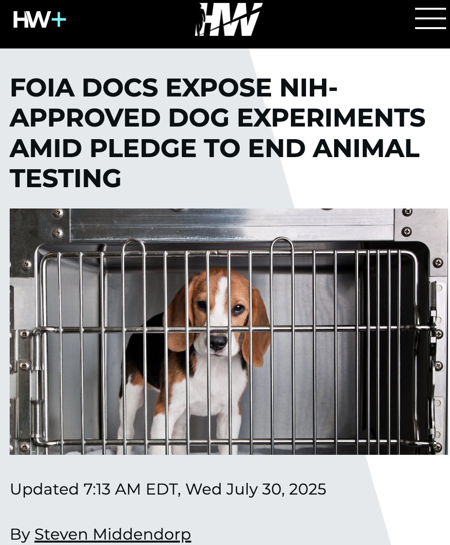 White Coat Waste (@whitecoatwaste) on Twitter photo "WCW has criticized <a href="/NIHDirector_Jay/">Jay Bhattacharya, MD, PhD</a> Bhattacharya & <a href="/NIH/">NIH</a> for not laying out a timetable for action...A WCW investigation found that the NIH authorized funding for dog breeding labs & other labs for animal experiments"
📰 FOIA Docs Expose NIH-Approved Dog Experiments Amid Pledge "WCW has criticized <a href="/NIHDirector_Jay/">Jay Bhattacharya, MD, PhD</a> Bhattacharya & <a href="/NIH/">NIH</a> for not laying out a timetable for action...A WCW investigation found that the NIH authorized funding for dog breeding labs & other labs for animal experiments"
📰 FOIA Docs Expose NIH-Approved Dog Experiments Amid Pledge