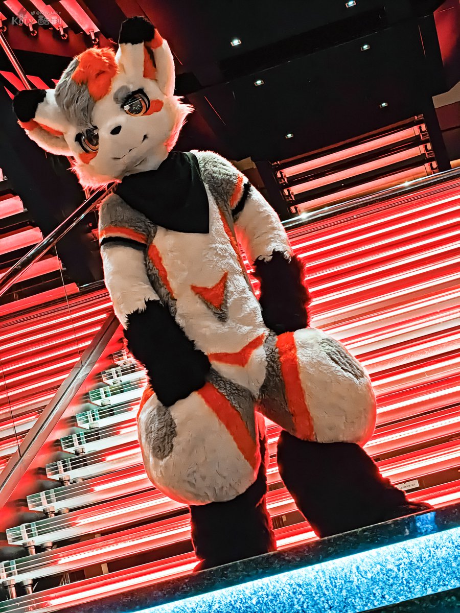 階段が光ってるよ～！！✨

#FursuitFriday
#UTFG2025

📷: <a href="/KulyWolf/">阿龍 & 酷利クーリ🔜2025 Infurnity 獸無限</a>