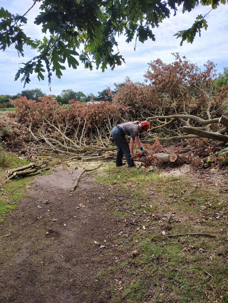 Greenways Project (@greenwaysproj) on Twitter photo Two fallen trees cleared from paths at Martlesham Common Local Nature Reserve earlier this week. Sometimes in the summer, the weight of leaves and/or fruit can just be too much! Thanks as ever to our volunteers for helping out. <a href="/MartleshamUK/">Martlesham UK</a> <a href="/EastSuffolk/">East Suffolk Council</a> <a href="/IpswichGov/">IpswichGov</a> #volunteers Two fallen trees cleared from paths at Martlesham Common Local Nature Reserve earlier this week. Sometimes in the summer, the weight of leaves and/or fruit can just be too much! Thanks as ever to our volunteers for helping out. <a href="/MartleshamUK/">Martlesham UK</a> <a href="/EastSuffolk/">East Suffolk Council</a> <a href="/IpswichGov/">IpswichGov</a> #volunteers