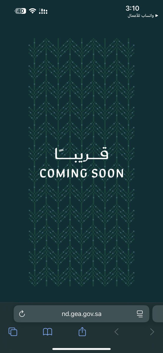 رُوزا | مُصممــة🧚🏼‍♀️ tweet media