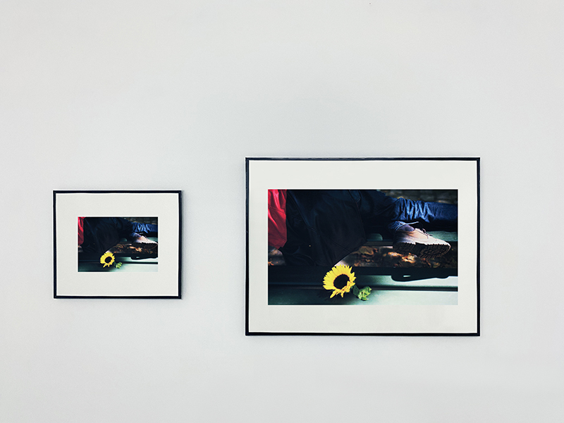 dohyanglee's tweet photo. @martaskoczen, "Tournesol à Jourdain", 2022  
ZOOM Projection IV - ' la faune et la flore '  
05.07 - 09.08.2025 https://t.co/mgS9DQAHsr