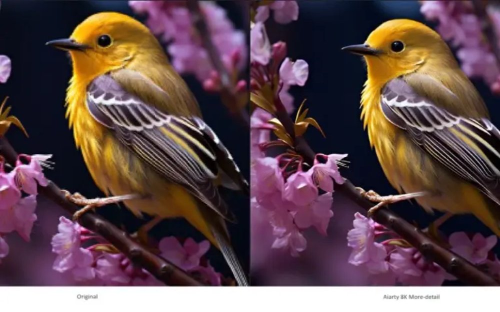 photowhoa's tweet image. ❗Lifetime Access❗

Aiarty Image Enhancer – Turn Every Photo Into a Masterpiece 🖼️
AI-powered upscaling, denoising &amp;amp; sharpening—automated, effortless, flawless.

Check out- vist.ly/3zsgr 

#imageediting #imageenhancer #edits #proedits #photography #editorlife