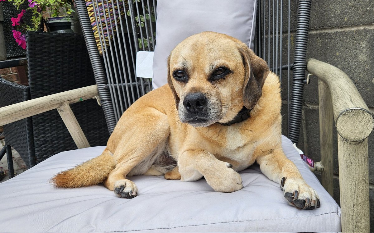 Jim Deeds tweet media