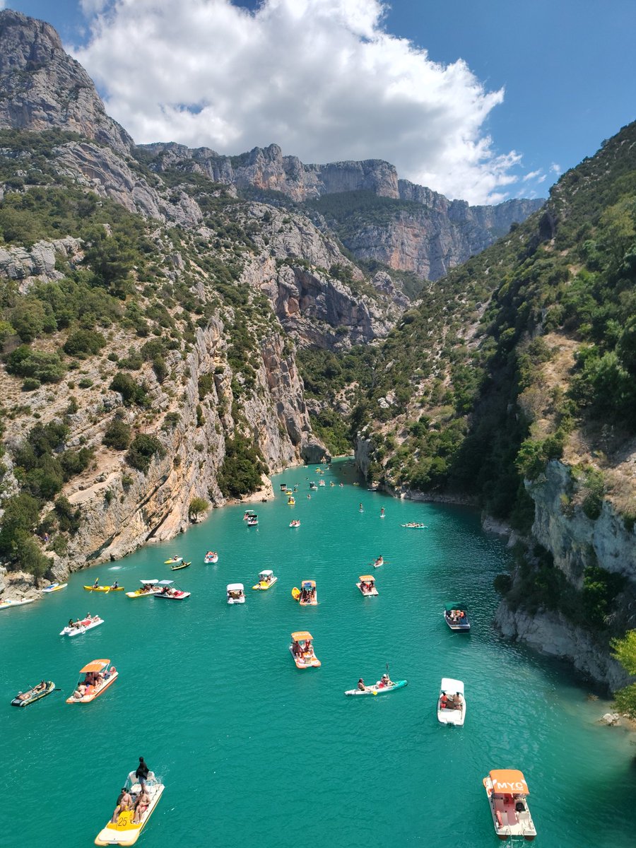 ChargingDingle tweet media