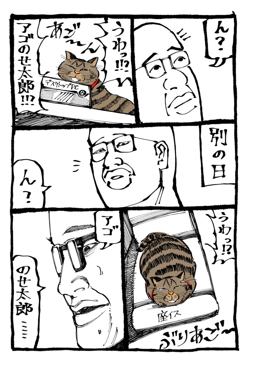 今日の日記　うちの猫はアゴ乗せたい