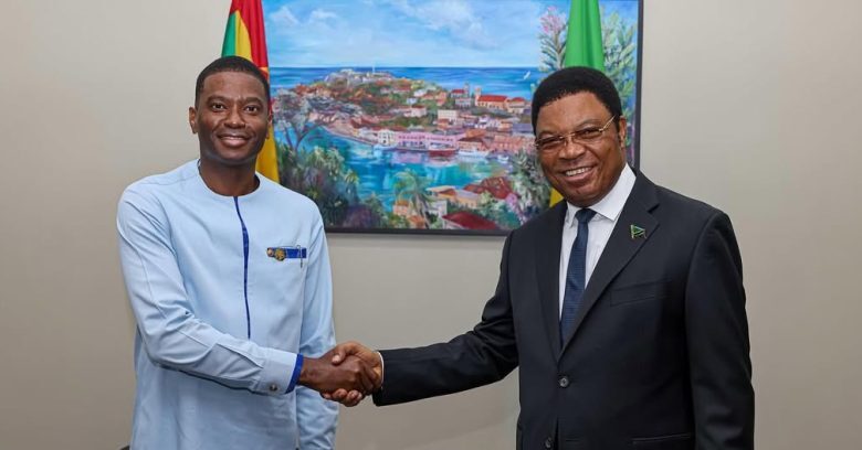 Tanzania, Grenada ties to boost industrial growth, youth employment - nowgrenada.com/?p=118476&utm_…