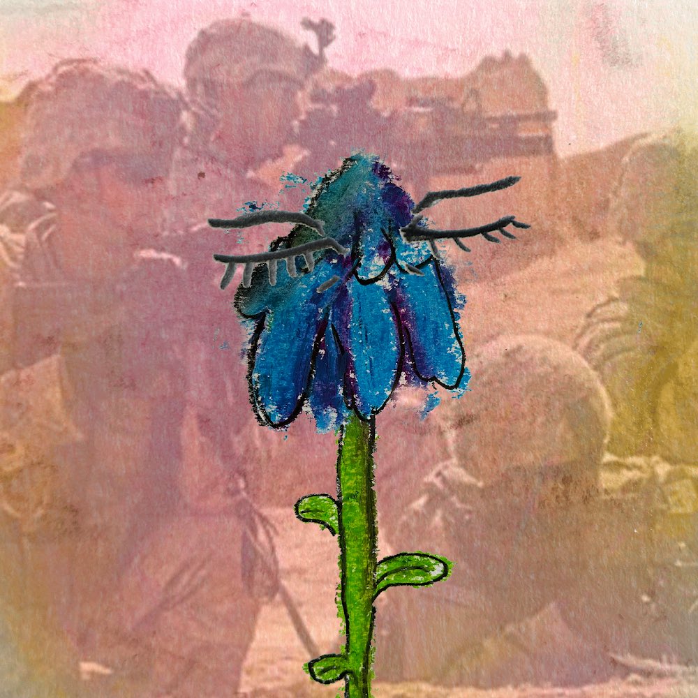 <a href="/blumegarden/">Blume 🌻</a> <a href="/LaunchMyNFTs/">LaunchMyNFTs 🚀</a> bluuumee