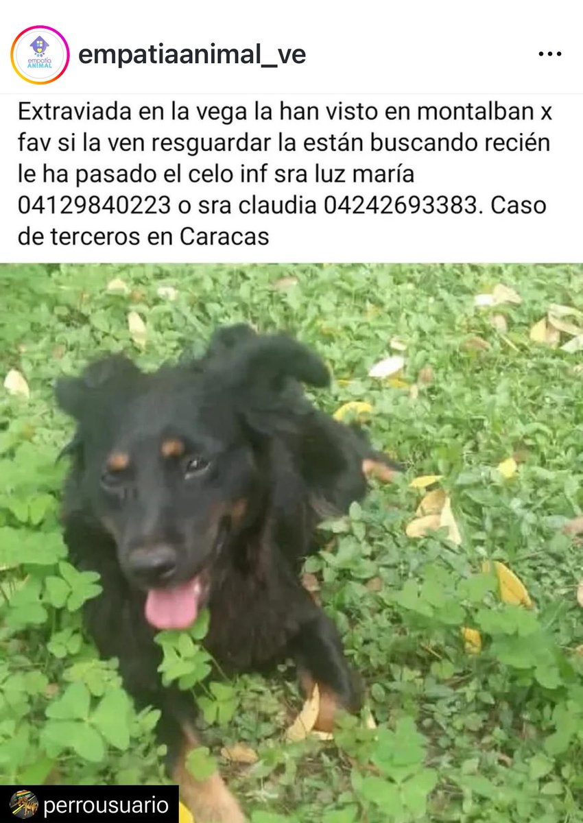 Rescata (@carmenzr04) on Twitter photo 