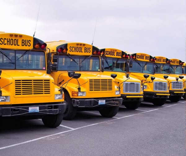 🚌🚌🚌TOMORROW, Friday, August 1, join us for a"Bus Ride Rehearsal." Students and their families are welcome to hop on for a test run. Just be at your assigned bus stop. Not sure where your bus stop is? Visit: infofinderi.com/ifi/?cid=SCS38…
#FirstRideFriday
