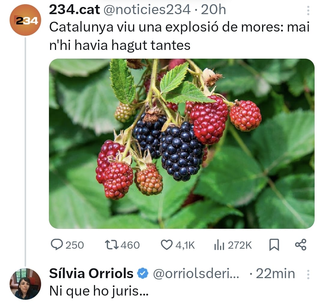 234.cat Collonen o provoquen