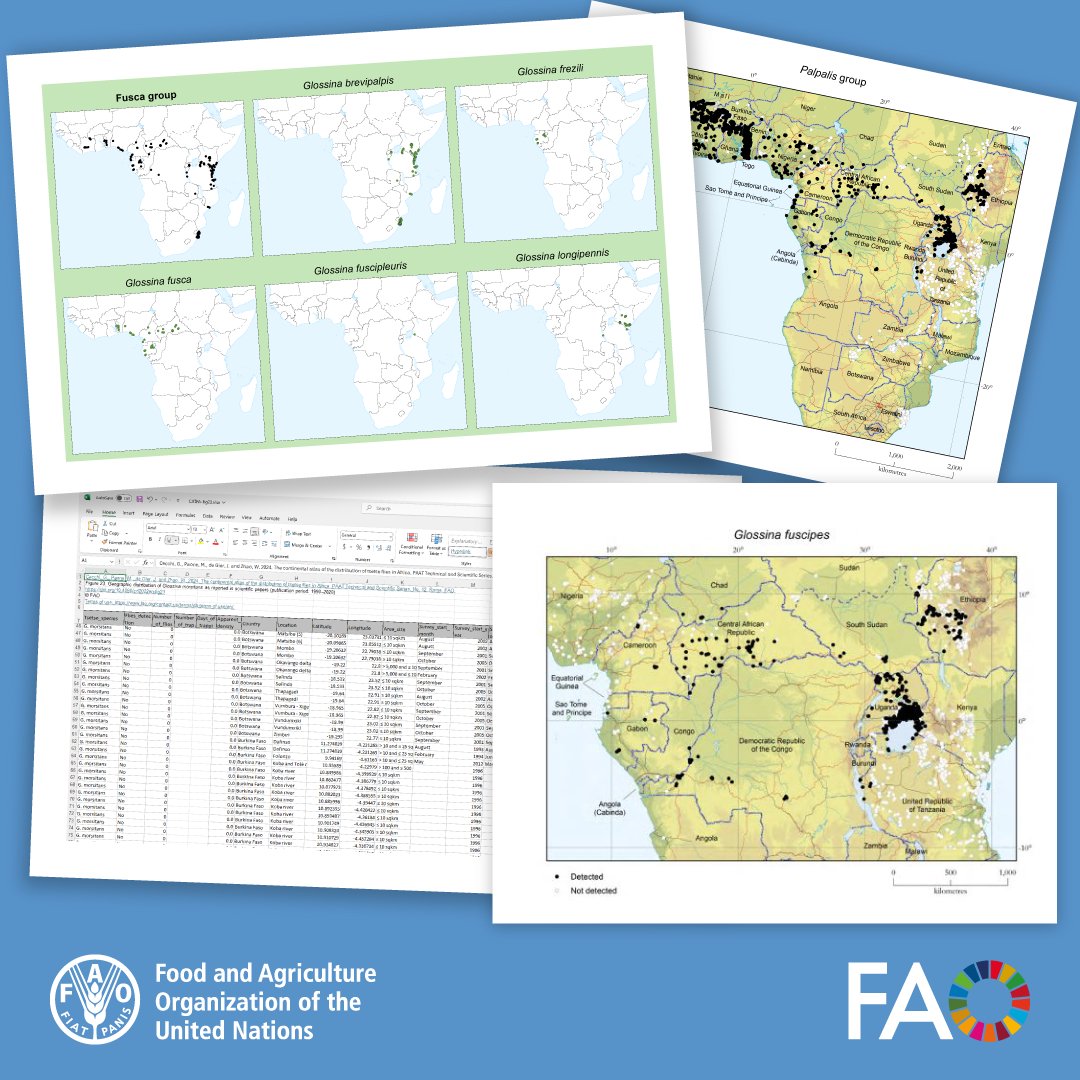 Data and maps from the continental atlas of #tsetse flies in Africa now also available on Wikipedia and FAO Agro-informatics platform

Read paper: doi.org/10.4060/cd2022…

Wikipedia: en.wikipedia.org/wiki/Glossina_…

Web GIS: data.apps.fao.org/?lang=en&share…