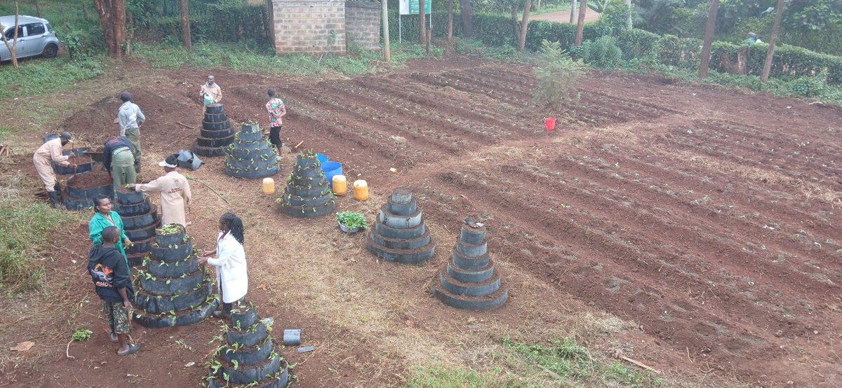 City Shamba tweet media