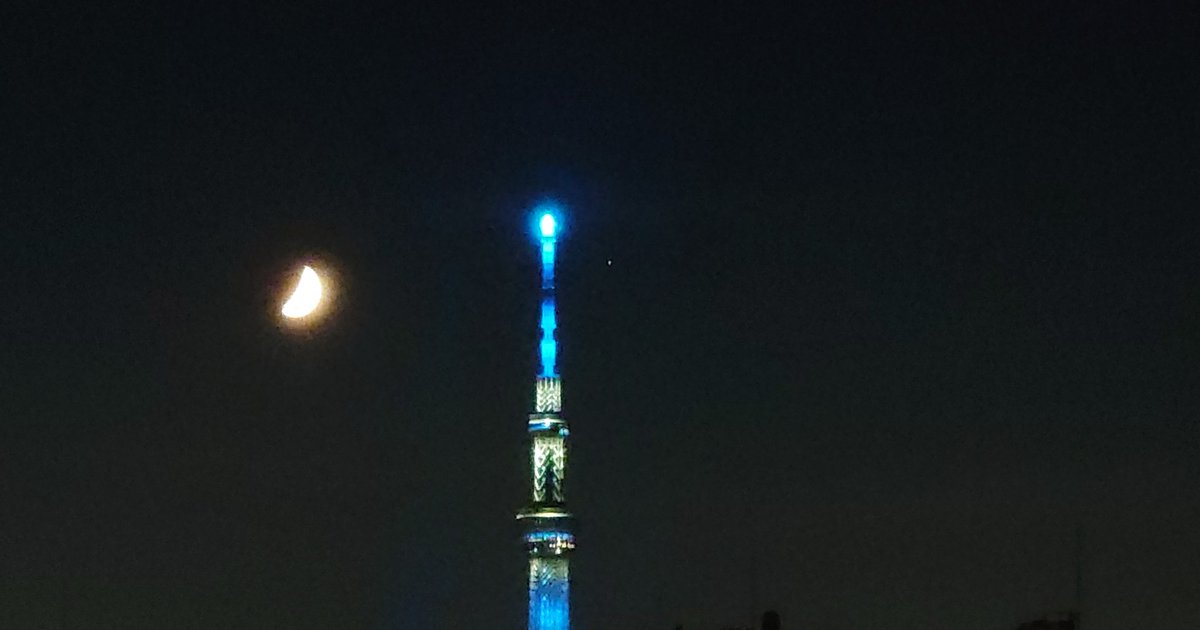綺麗な夜だから
哀しい夜だから
優しく笑って 見守ってあげる
哀しい夜だから 最後の夜だから
これからもふたりを離したりはしないから