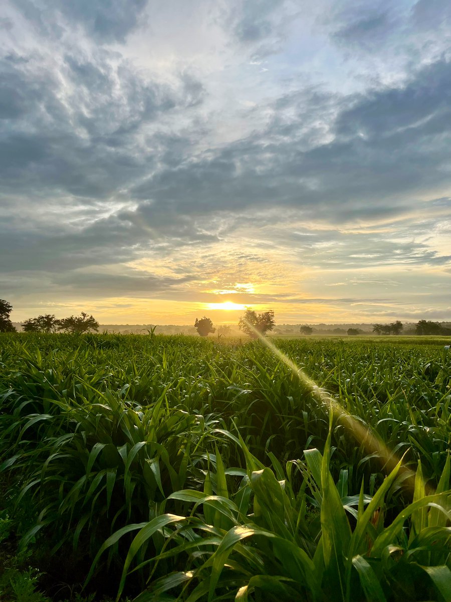 El Cierre de Julio aún nos regala excelentes postales en el #SurdeMorelos