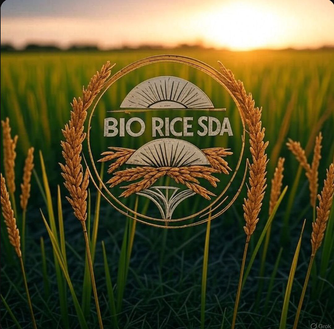 🌱 Rice is no longer just food – it's a smart product of technology!🌐 From farm to table, traceability is powered by blockchain.📲 Our digital platform empowers Vietnamese farmers to reach global markets effortlessly.📈 Transparent, scalable, and already expanding rapidly.🌎
