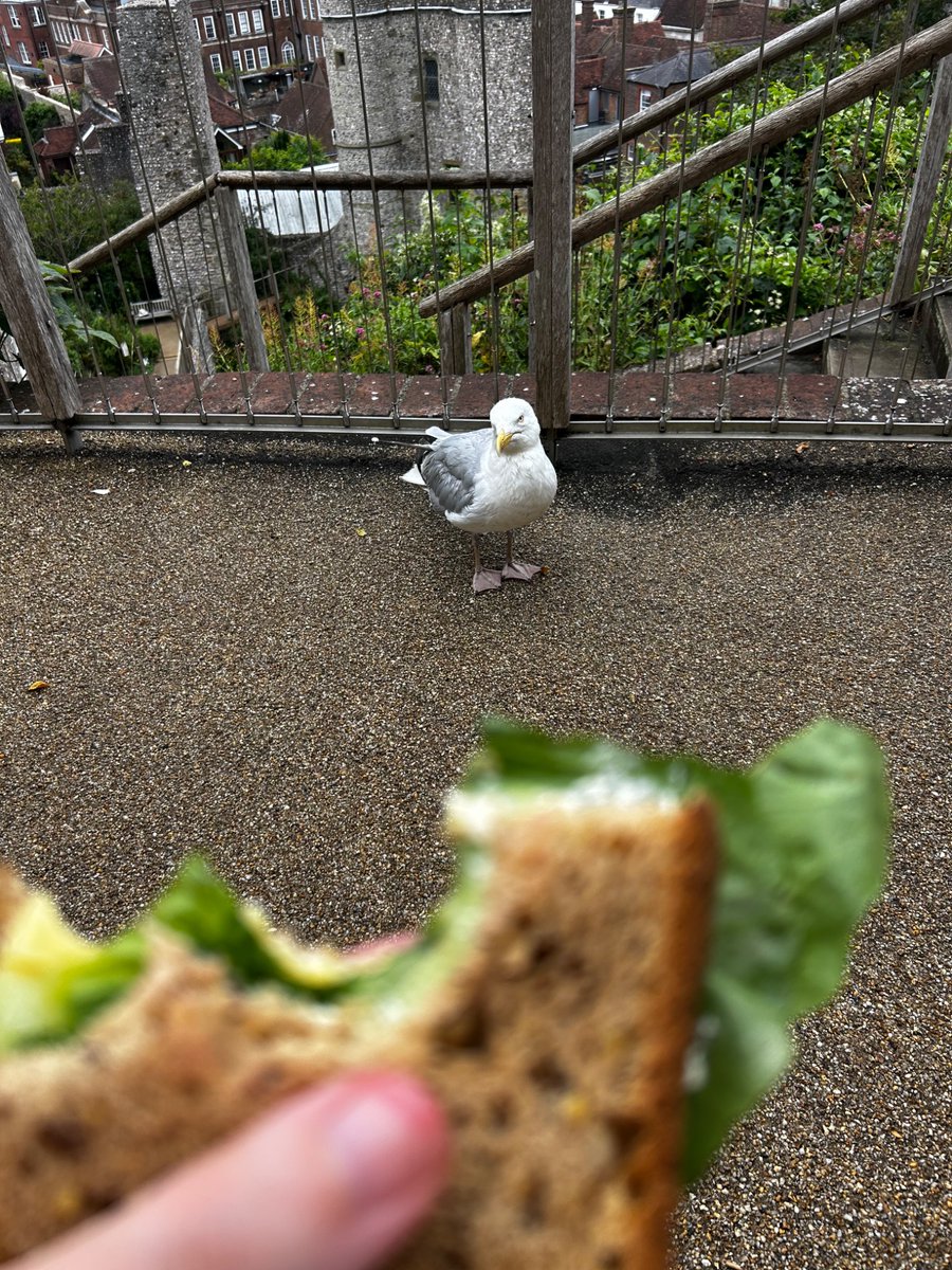 Dr Jayne Friend tweet media