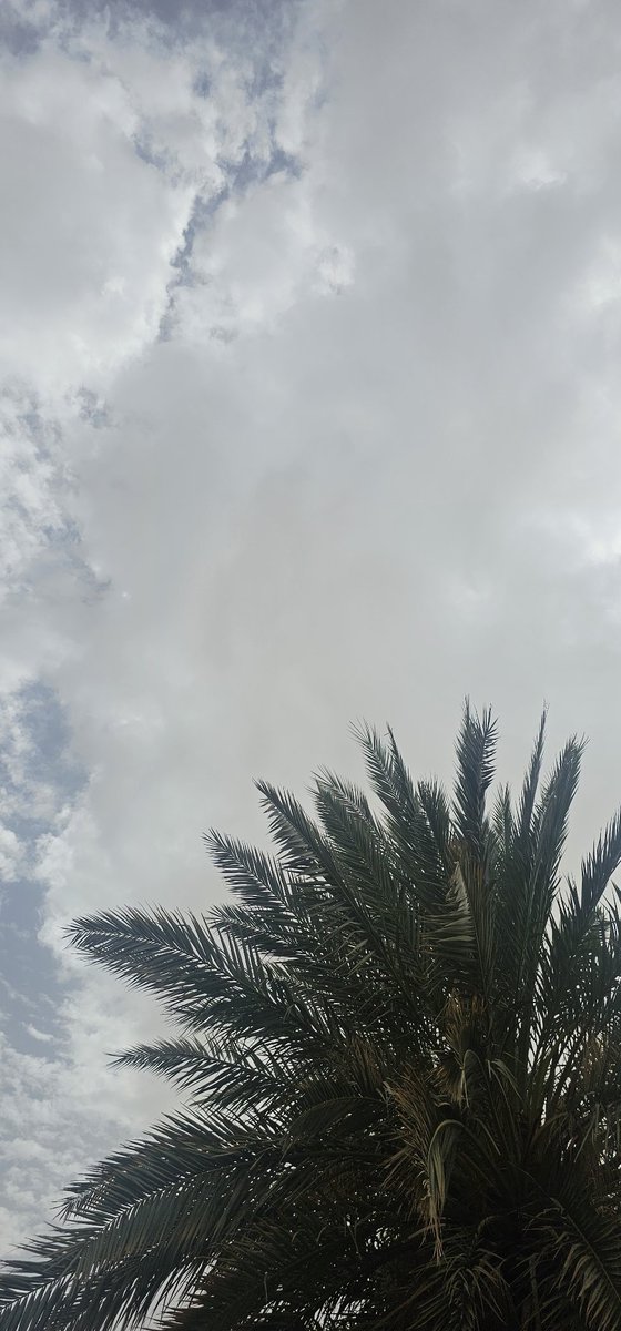 #مكه_الان 
اجواء حداء غرب مكه