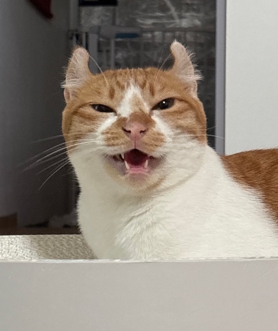 인간 하나쯤은 별거 아니라는 표정이다