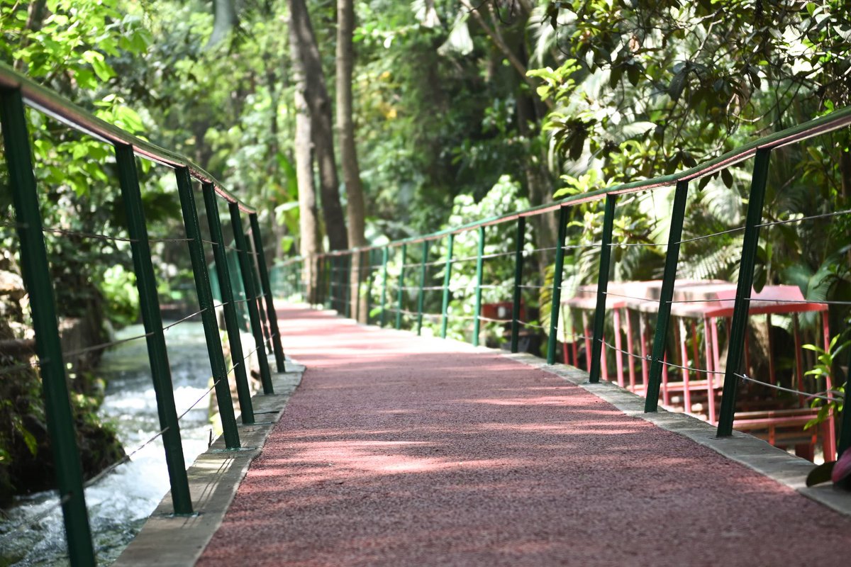 !Buenos días! Con gratitud despido Julio.