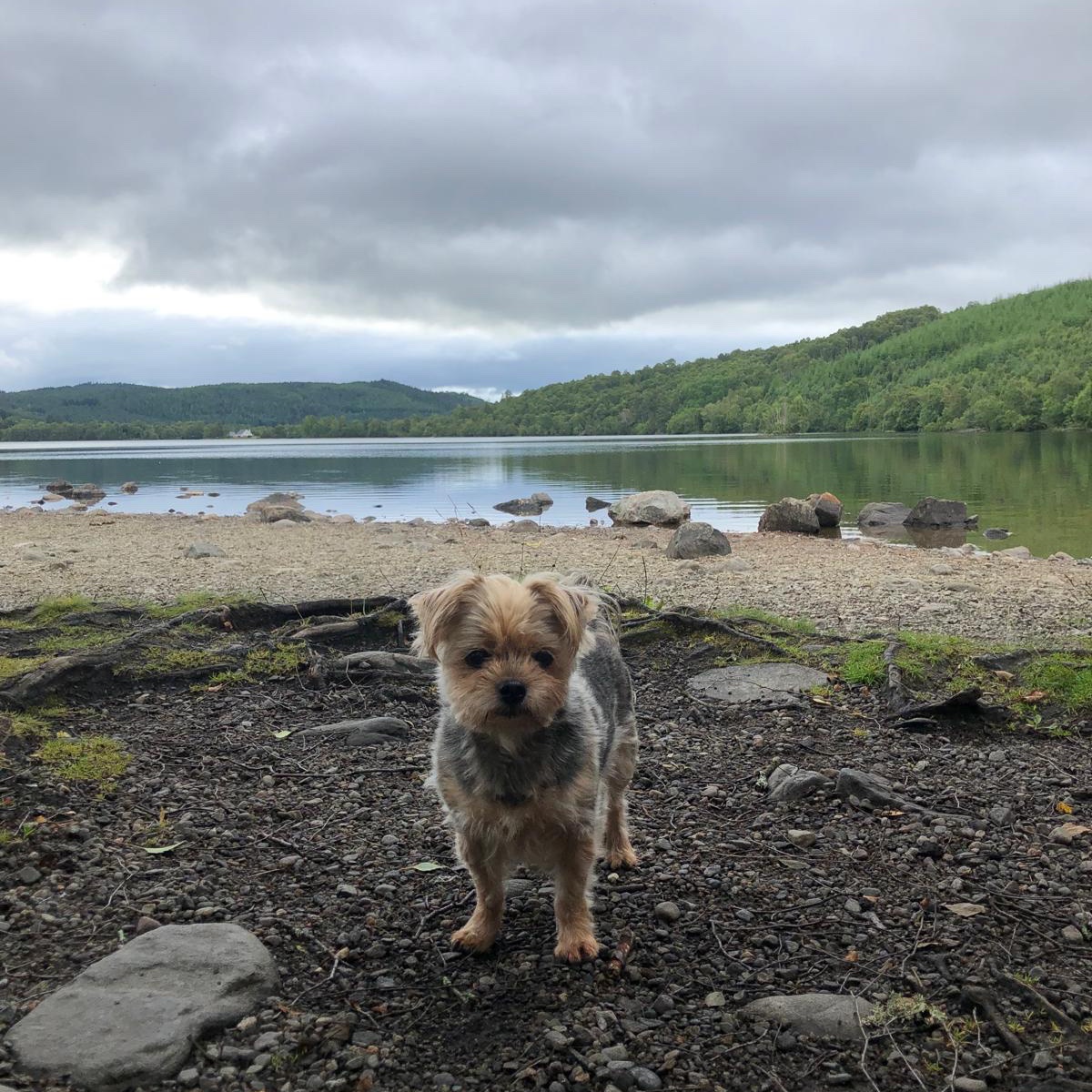 Scotland’s cooler summers are made for Highland escapes. 

Unwind at <a href="/CoulHouseHotel/">Coul House Hotel</a>  with peaceful walks, garden🍺, and a 🪄 fairy trail for the kids

 B&amp;B from £239.50
 DB&amp;B from £328.50

Read More and Book coulhousehotel.com/stay-coul-this…

#StayCoul #HighlandGetaway #SummerInScotland