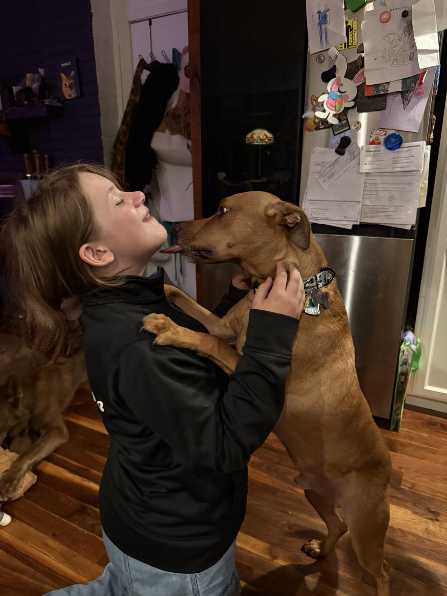 Yo <a href="/giowfan/">Gregg Giannotti</a> can you post your mountain cur mix? Here’s our guy (and my girl)