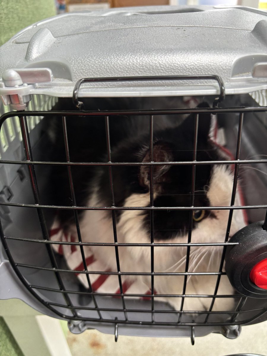 Billie & Charlie tweet media