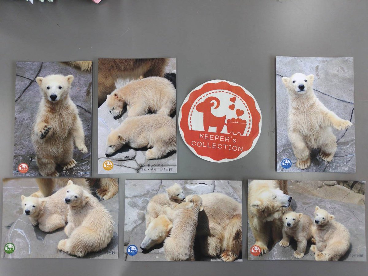 キーパーズコレクション から新商品のおしらせです🐻‍❄️ 明日、8月2