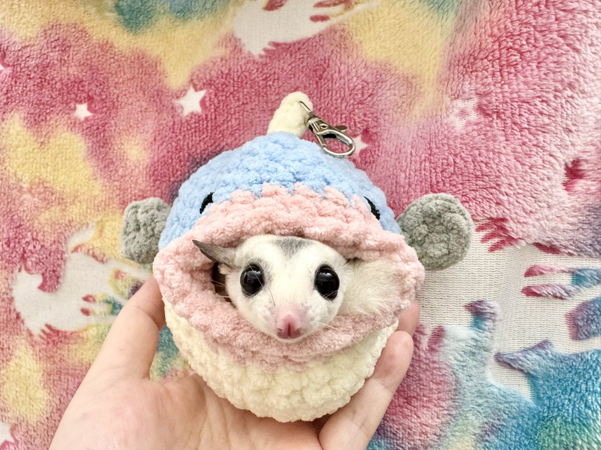 モモンガポーチ