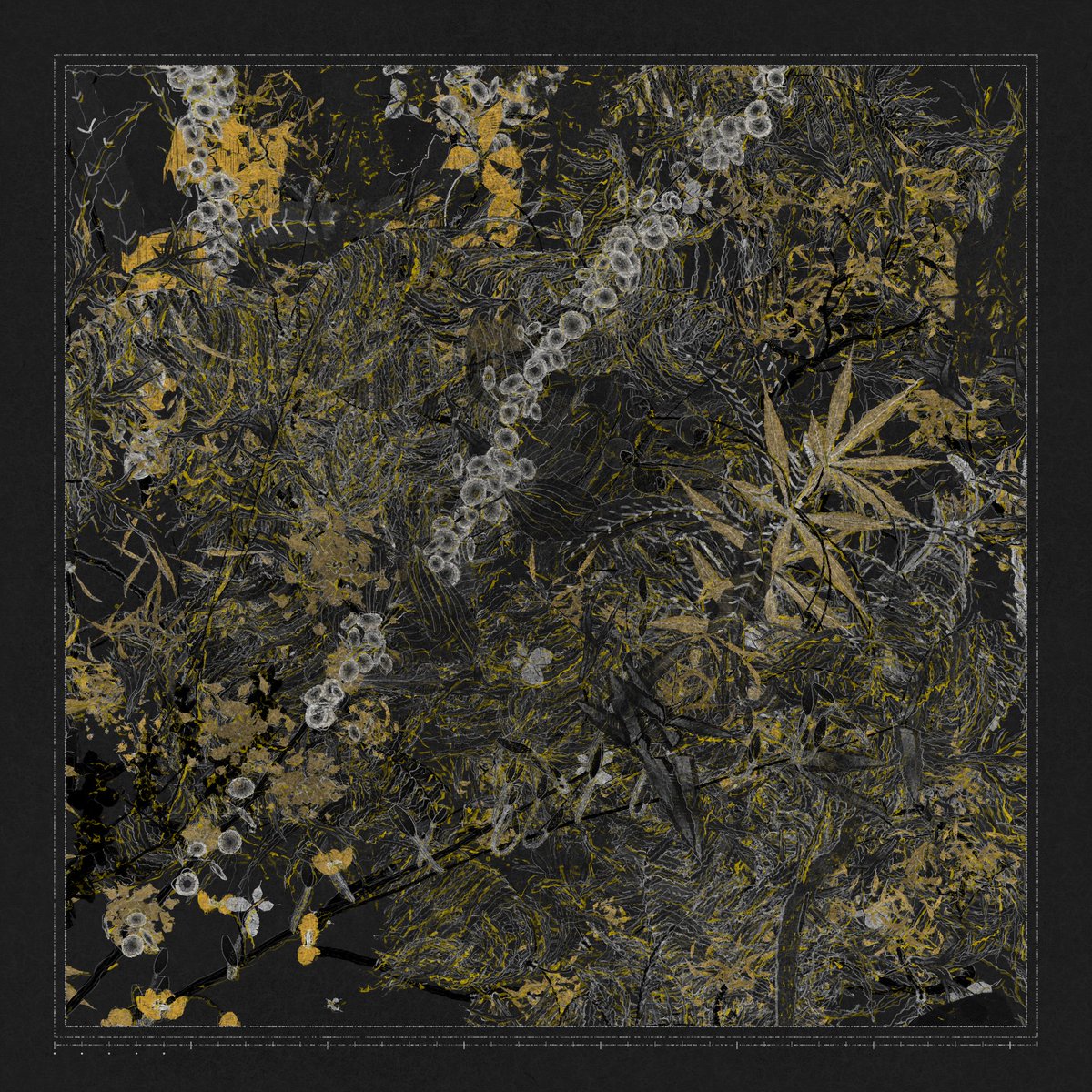 stevezee tweet media