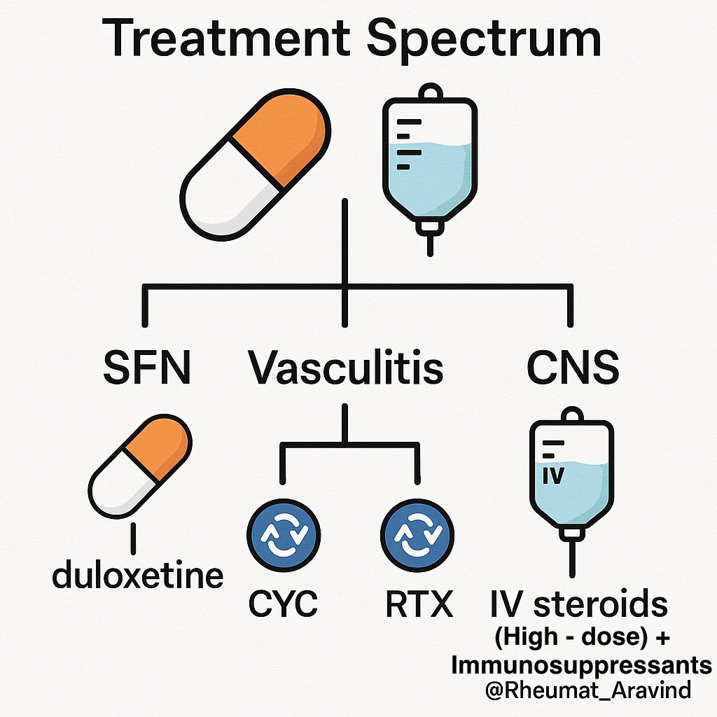 Aravind Palraj (@rheumat_aravind) on Twitter photo 1️⃣2️⃣ Treatment Principles
Depends on phenotype:
✔️ SFN / mild sensory – Gabapentinoids, duloxetine, IVIG (in select cases)
✔️ Mononeuritis multiplex / vasculitic neuropathy – Steroids + cyclophosphamide or rituximab
✔️ CNS involvement – High-dose steroids, immunosuppressants 1️⃣2️⃣ Treatment Principles
Depends on phenotype:
✔️ SFN / mild sensory – Gabapentinoids, duloxetine, IVIG (in select cases)
✔️ Mononeuritis multiplex / vasculitic neuropathy – Steroids + cyclophosphamide or rituximab
✔️ CNS involvement – High-dose steroids, immunosuppressants