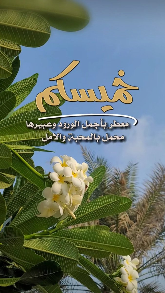 ٠٠
" خميسكم نفحات فرح تعانق أرواحكم ٠٠
و لفحات سعادة تغمـر قلوبكم ٠٠"♥️
#مساء_الخميس_الونيس