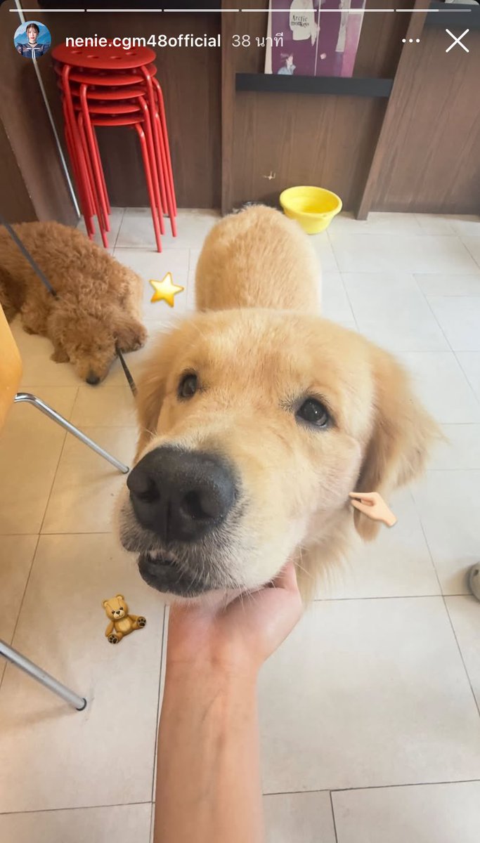 พี่คนสวยเค้ารักม๋าเนอะ 🐶