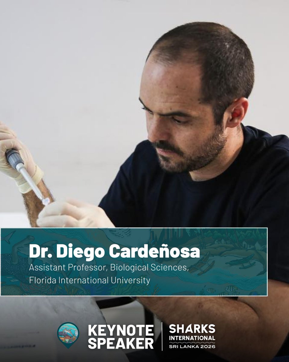 SharksInt2026's tweet photo. We’re thrilled to welcome Dr. Diego Cardeñosa as a keynote speaker at SI2026, where he will share insights from his work, highlighting innovative approaches to conservation, policy impact, and enforcement of wildlife trade regulations.

🔗 https://t.co/GgdPNlPXYV https://t.co/zGlNmDJFap