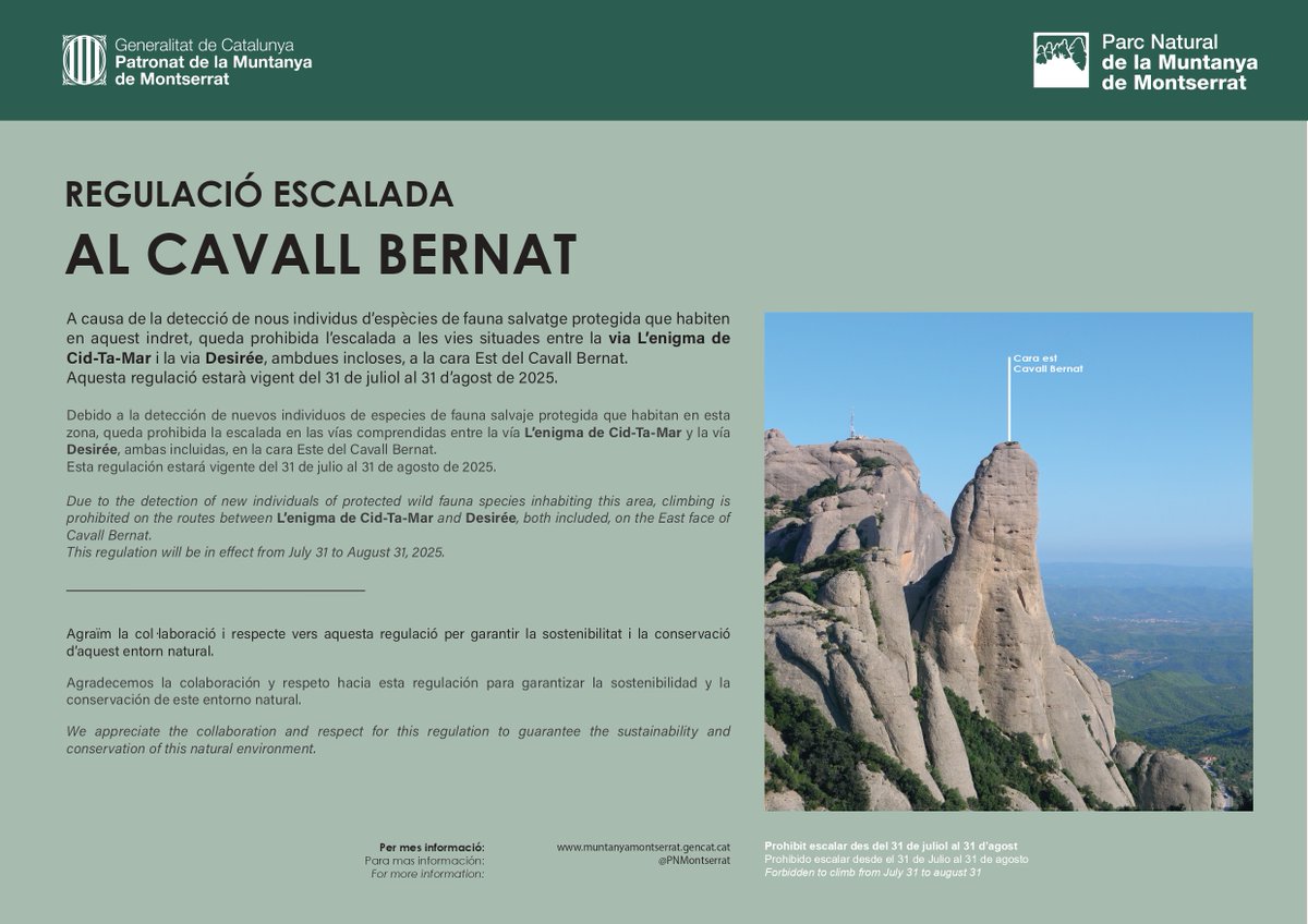 ‼️Atenció #escaladors/es‼️

Detectat inici període reproducció falcó mostatxut a la cara est del Cavall Bernat.
Prohibida l’escalada entre la via L’enigma de Cid-Ta-Mar i la via Desirée, ambdues incloses fins al 31 d'agost.

🗺️ bit.ly/MapaRegEscPNMM
<a href="/FEEC_cat/">FEEC</a> <a href="/agentsruralscat/">Agents Rurals</a>