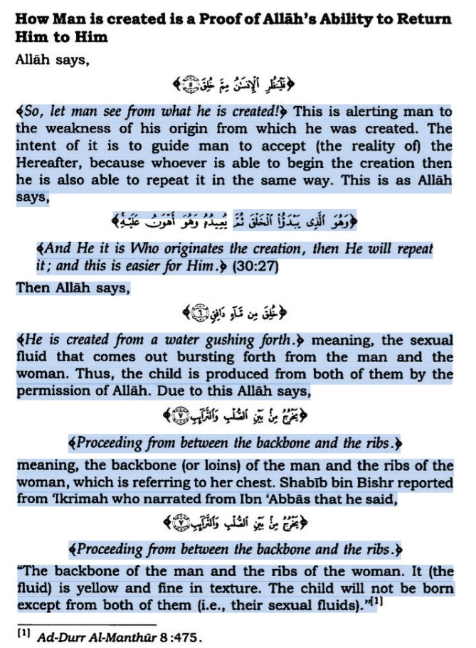 Ibn Kathir (1300 AC) nous rappelle explicitement dans son tafsir de la surate Tariq que les enfants sont issus du mélange du sperme de l'homme et du sperme de la femme