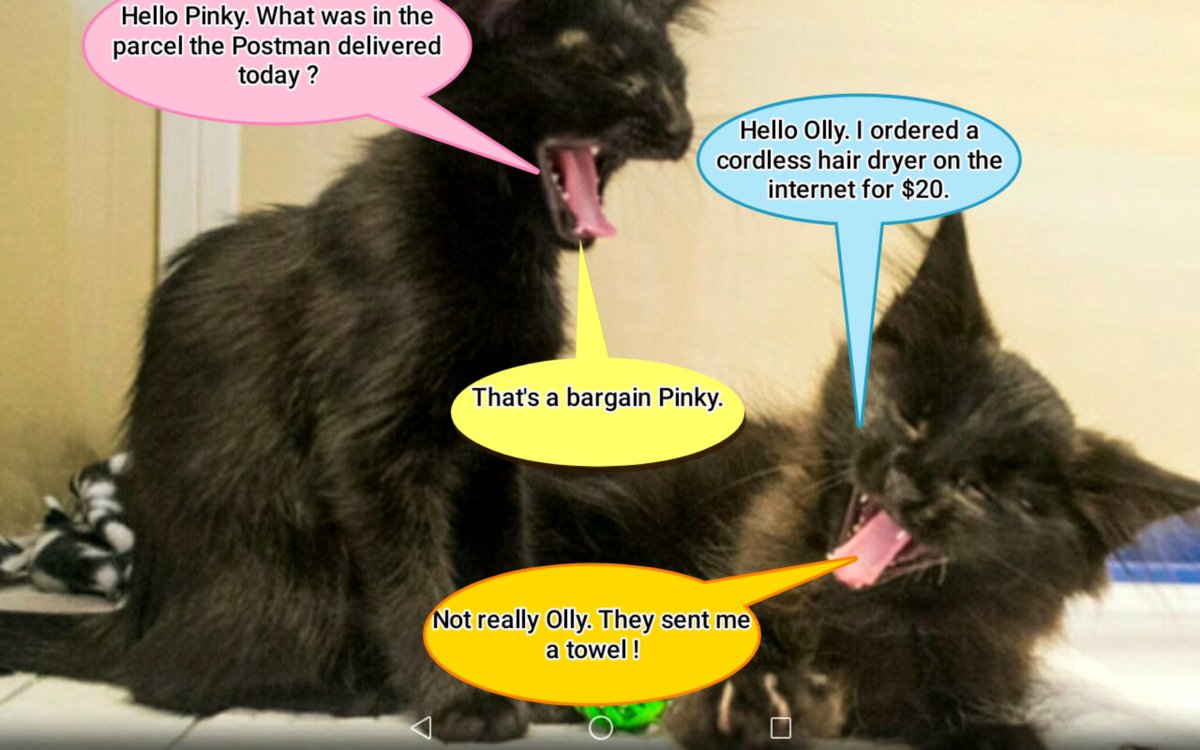 It's time for Pinky and Olly's corny jokes, posted in loving memory of our dear friend Janet.

Pinky loves a bargain.

#RIPJanet 💜💜💜
#PinkyAndOlly