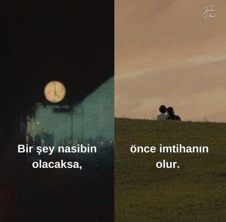 ayaserenat's tweet photo. https://t.co/FNtGRAla1d