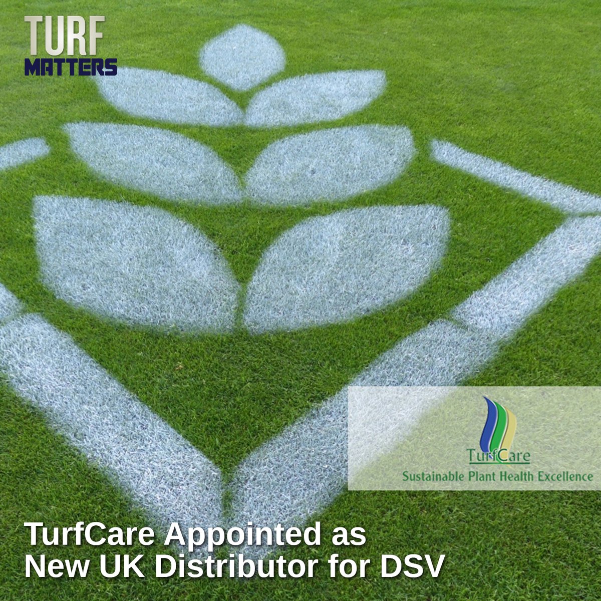 Turf Matters (@turfmatters) on Twitter photo #TurfNews Leading seed specialist DSV has appointed TurfCare as a new distributor in the UK, marking a significant step in DSV’s continued expansion across the amenity and sports turf sectors. <a href="/EUROGRASSUKSEED/">Eurograss UK</a>
Read more 👉 turfmatters.co.uk/turfcare-appoi… #TurfNews Leading seed specialist DSV has appointed TurfCare as a new distributor in the UK, marking a significant step in DSV’s continued expansion across the amenity and sports turf sectors. <a href="/EUROGRASSUKSEED/">Eurograss UK</a>
Read more 👉 turfmatters.co.uk/turfcare-appoi…