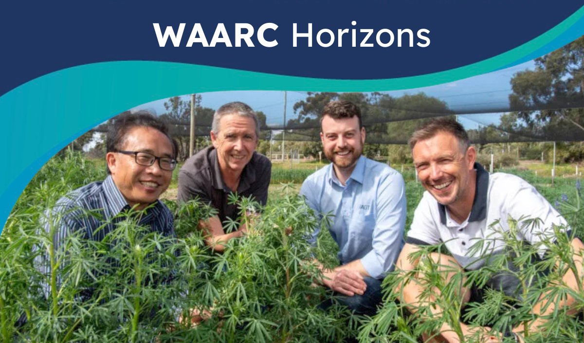 WA Agricultural Research Collaboration (@waagcollab) on Twitter photo WAARC Horizons is out now!
This edition explores how WAARC is changing the way ag R&D works in WA - turning a fragmented system into a collaborative, strategic force for innovation.
Read it here 👉 waarc.org.au/updates/issue-…
#AgResearch #WAARC #Collaboration #AgInnovation WAARC Horizons is out now!
This edition explores how WAARC is changing the way ag R&D works in WA - turning a fragmented system into a collaborative, strategic force for innovation.
Read it here 👉 waarc.org.au/updates/issue-…
#AgResearch #WAARC #Collaboration #AgInnovation